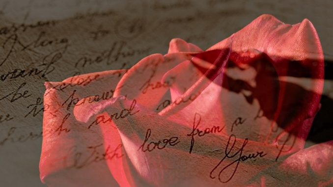 rose-1894760_1280