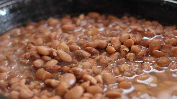 pinto-beans-356622_1280